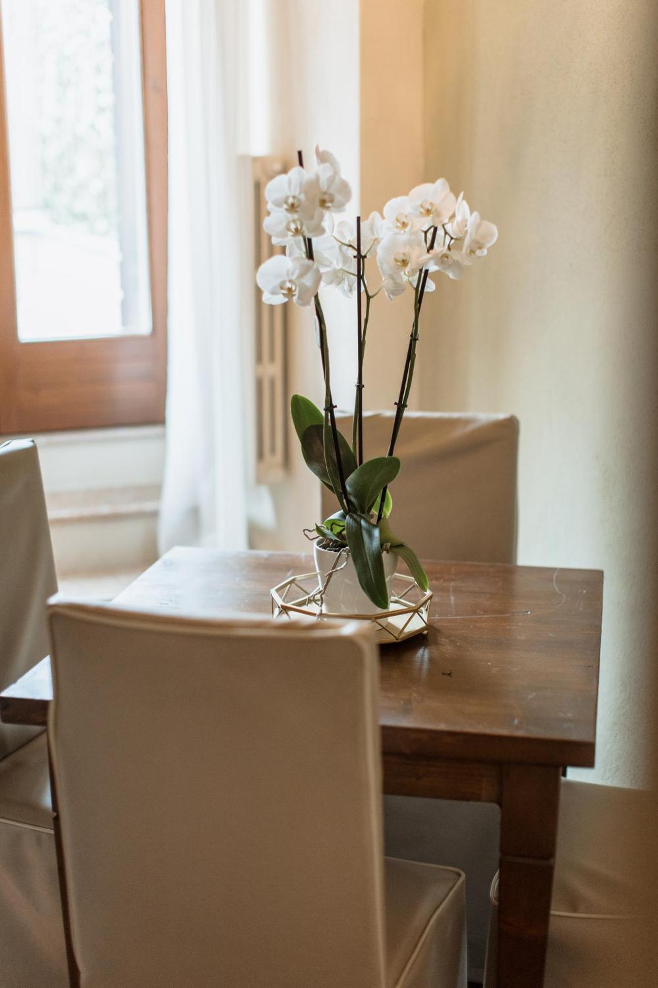 Apartment Osteria Luxury Peschiera del Garda